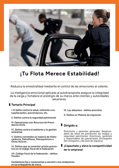 Prevención de delitos en el autotransporte para elevar la competitividad de la empresa